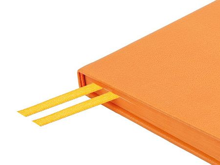 Ежедневник недатированный А5 «Megapolis Nappa»