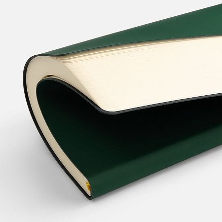 Ежедневник Flex Shall New, недатированный, зеленый