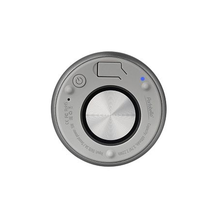 Беспроводная колонка Пэшн (Passion) 80dB 600 mAh (Bluetooth 5.0), серебряная