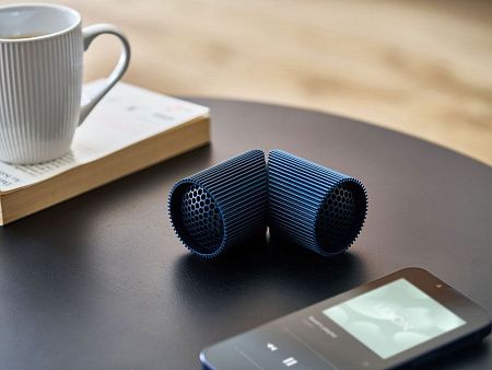 Беспроводная колонка Ray Speaker