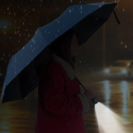 Зонт складной автоматический, Forest Lotus Flashlight, диаметр 117 см, 9 панелей, в подарочной коробке,  черный