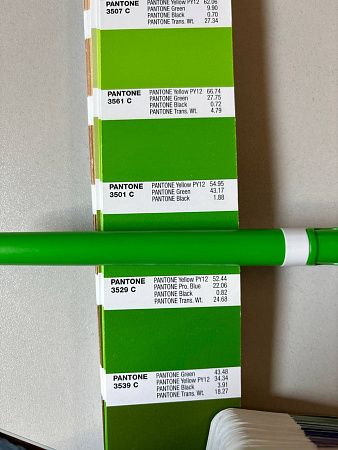 Ручка шариковая пластиковая Ravena Color салатовая/белая