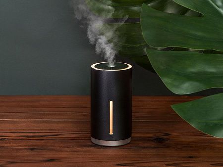 Портативный увлажнитель с функцией санитайзера «Clain»