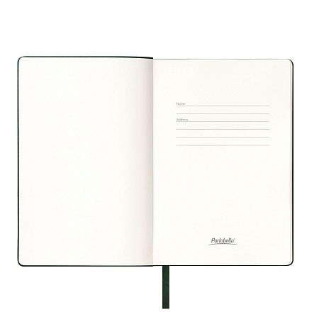 Ежедневник Spark недатированный, зеленый (без упаковки, без стикера)