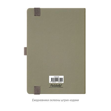 Ежедневник Альфа (Alpha) недатированный, серый/бирюзовый