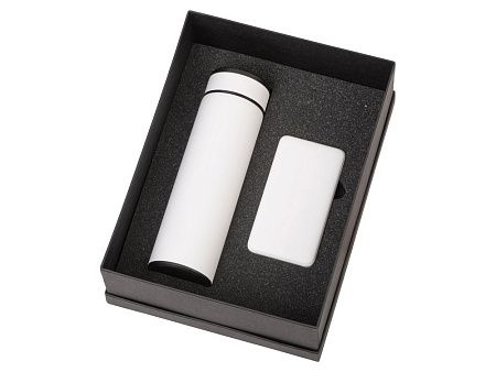 Подарочный набор "COLOR IT" c термосом и повербанком