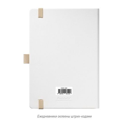 Ежедневник Arctic недатированный, белый/серый