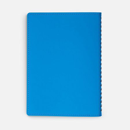Ежедневник Spring Shall, недатированный, голубой