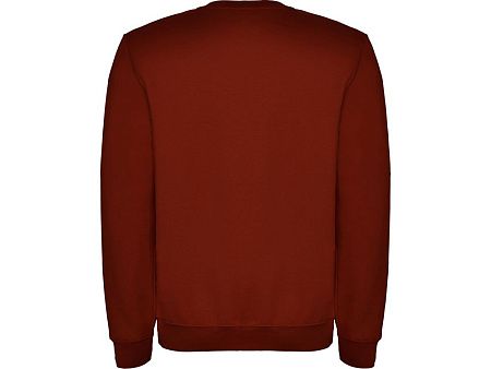 Свитшот с начесом «Clasica» унисекс