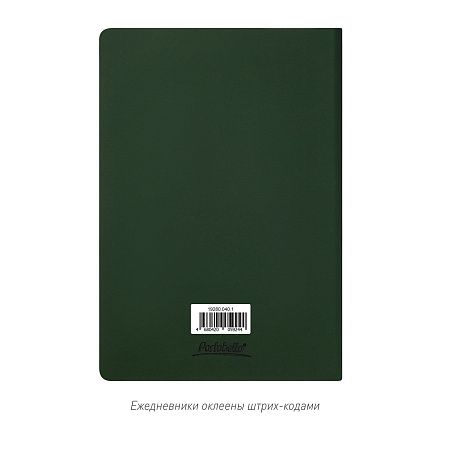 Ежедневник Спарк (Spark) недатированный, зеленый (без упаковки, без стикера)