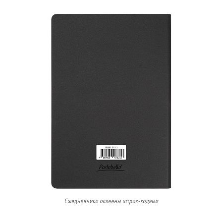 Ежедневник Star недатированный, черный (без упаковки, без стикера)