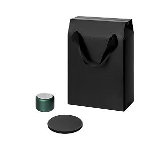 Подарочный набор Пэшн, Аурис (Passion, Auris), зеленый (колонка, зарядное устройство)