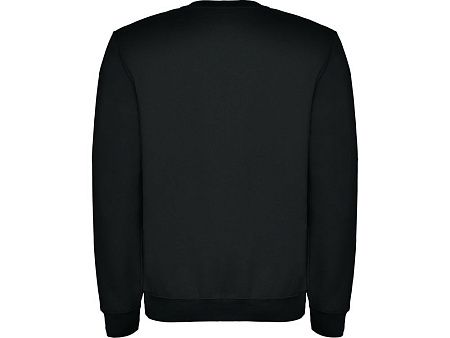 Свитшот с начесом «Clasica» унисекс