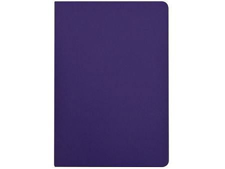 Бизнес-тетрадь А5 «Pragmatic Contrast»