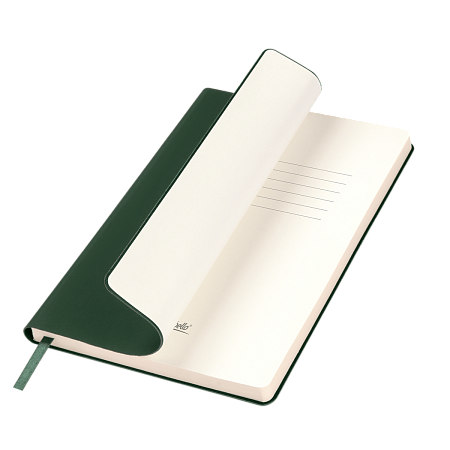 Ежедневник Spark недатированный, зеленый (без упаковки, без стикера)