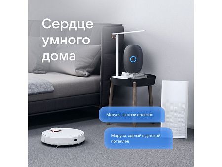 Умная колонка VK «Капсула» с голосовым помощником Марусей, 30 Вт