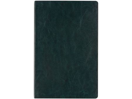 Ежедневник недатированный А5 «Megapolis Nebraska Flex»