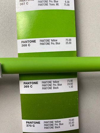 Ручка шариковая, пластиковая, софт тач, салатовая/белая, Zorro