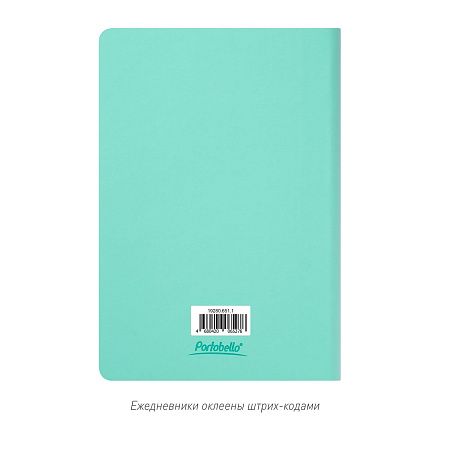 Ежедневник Спарк (Spark) недатированный, мятный (без упаковки, без стикера)