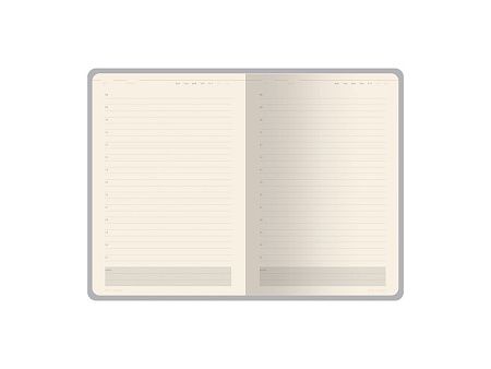 Ежедневник недатированный А5 «Status»