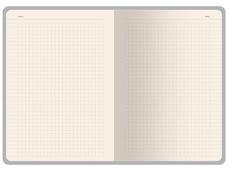 Бизнес-тетрадь А5 «Pragmatic Contrast»