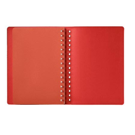 Ежедневник Vista недатированный, оранжевый/коричневый