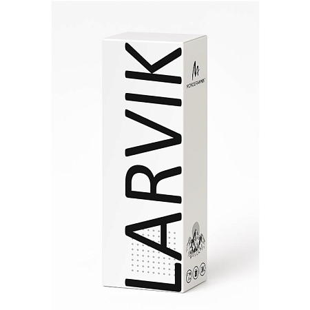 Вакуумная термобутылка  LARVIK, металлическая, двухстеночная, обьем 500 мл, черная