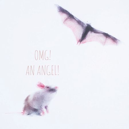 Футболка женская An Angel, белая, размер S