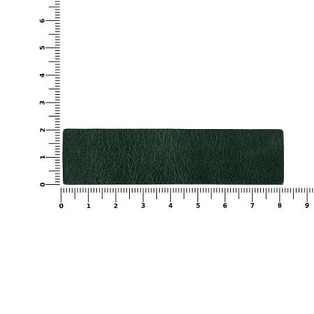 Лейбл кожаный Pasek, зеленый