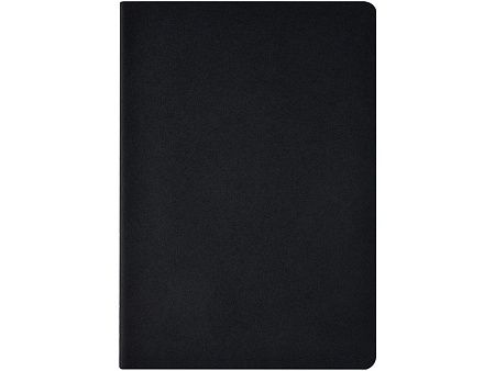 Бизнес тетрадь А5 «Pragmatic»