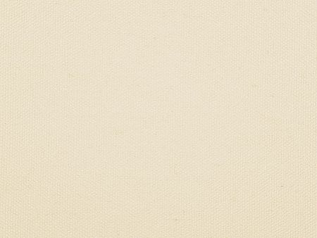 Сумка для шопинга «Steady» хлопковая с парусиновыми ручками, 260 г/м2