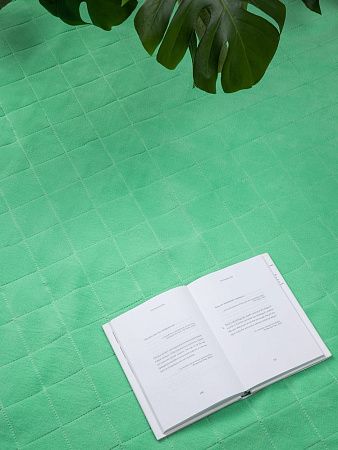 Плед для пикника Soft & Dry 2, светло-зеленый