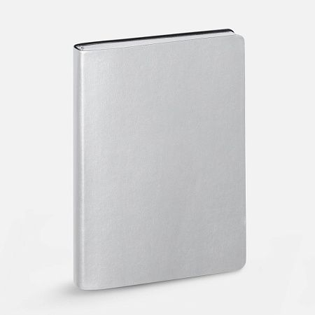 Ежедневник Nebraska Flex, недатированный, ver. 2, серебристый