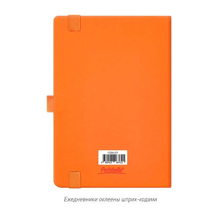 Ежедневник Alpha недатированный, оранжевый/оранжевый
