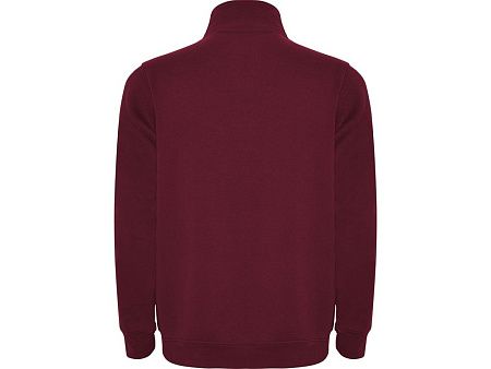 Свитшот «Aneto» мужской