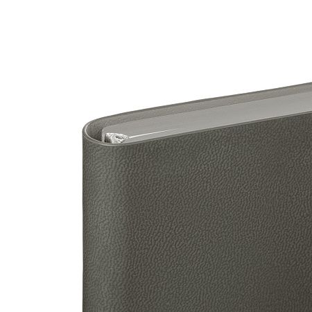 Ежедневник Латте софт-тач (Latte soft touch) недатированный, серый