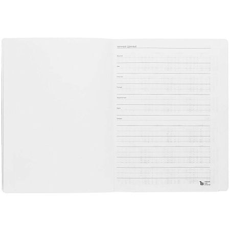 Еженедельник Lucky, недатированный, серый