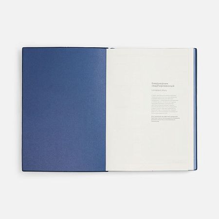 Ежедневник Stitch, недатированный, синий