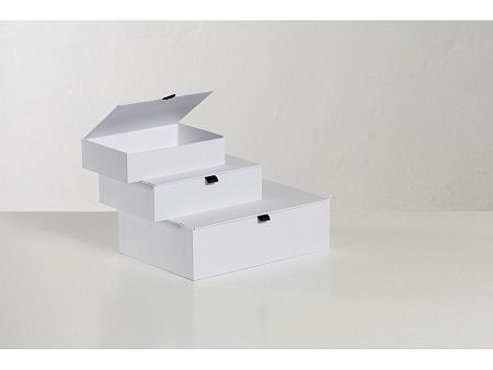 Коробка подарочная White S