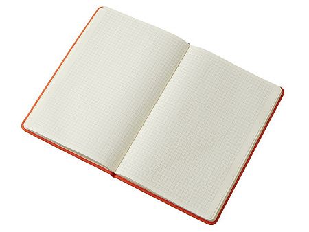 Блокнот в твердой обложке A5 «Виспи» в клетку