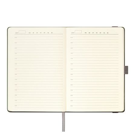 Ежедневник Альфа (Alpha) недатированный, серый/бирюзовый