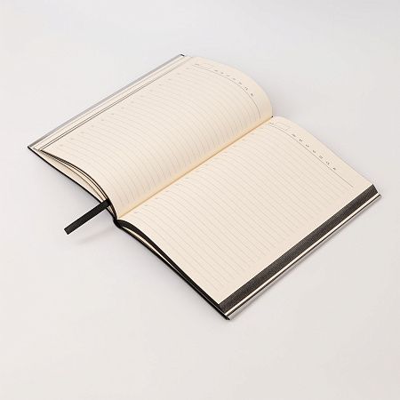 Ежедневник City New Standart недатированный, черный