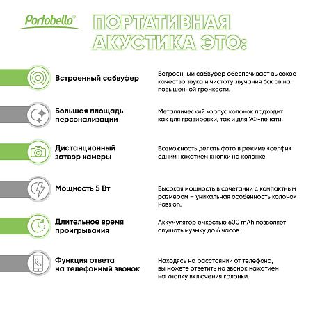 Беспроводная колонка Passion 80dB 600 mAh (Bluetooth 5.0), черная