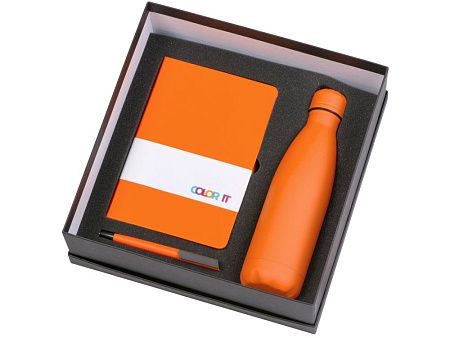 Подарочный набор «COLOR IT» c блокнотом, ручкой и термобутылкой