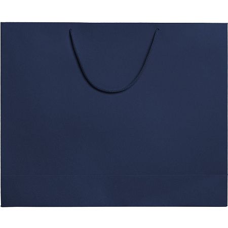 Пакет бумажный Ample Plus L, синий