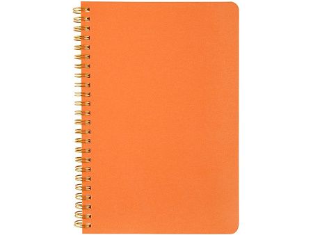 Бизнес тетрадь А5 «Pragmatic»