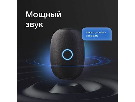 Умная колонка VK «Капсула» с голосовым помощником Марусей, 30 Вт