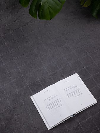 Плед для пикника Soft & Dry 2, серый