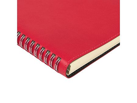 Ежедневник А5 «Tintoretto»