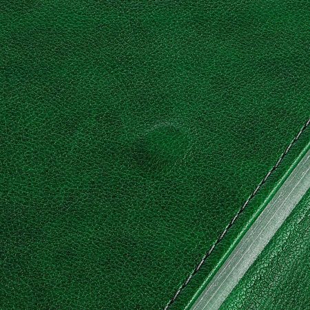 Ежедневник Flap на заказ, недатированный, зеленый